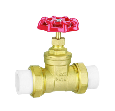 LF15301 PPR Gate Valve