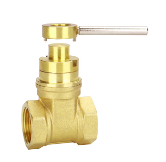 LF15601 Lock Gate Valve