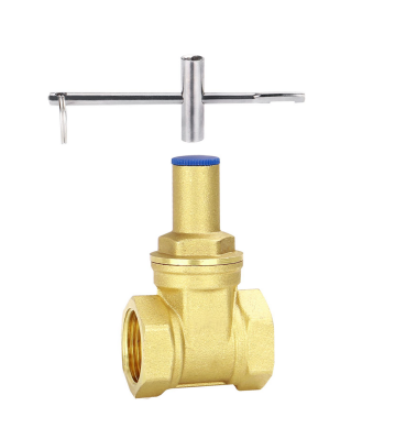 LF15602 Lock Gate Valve